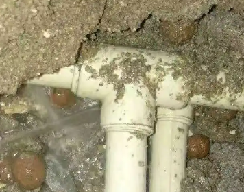 兴和测漏水多少钱