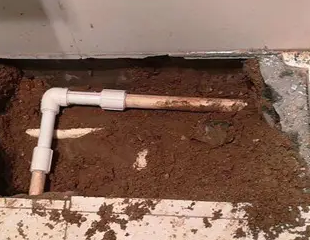 兴和测漏水哪家好