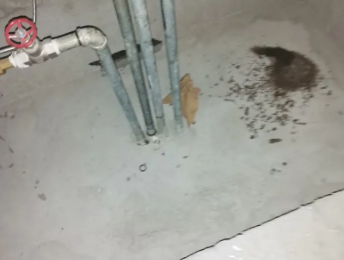 兴和卫生间测漏水价格明细