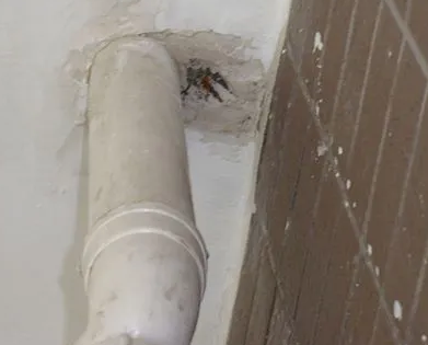 兴和漏水检测哪家好